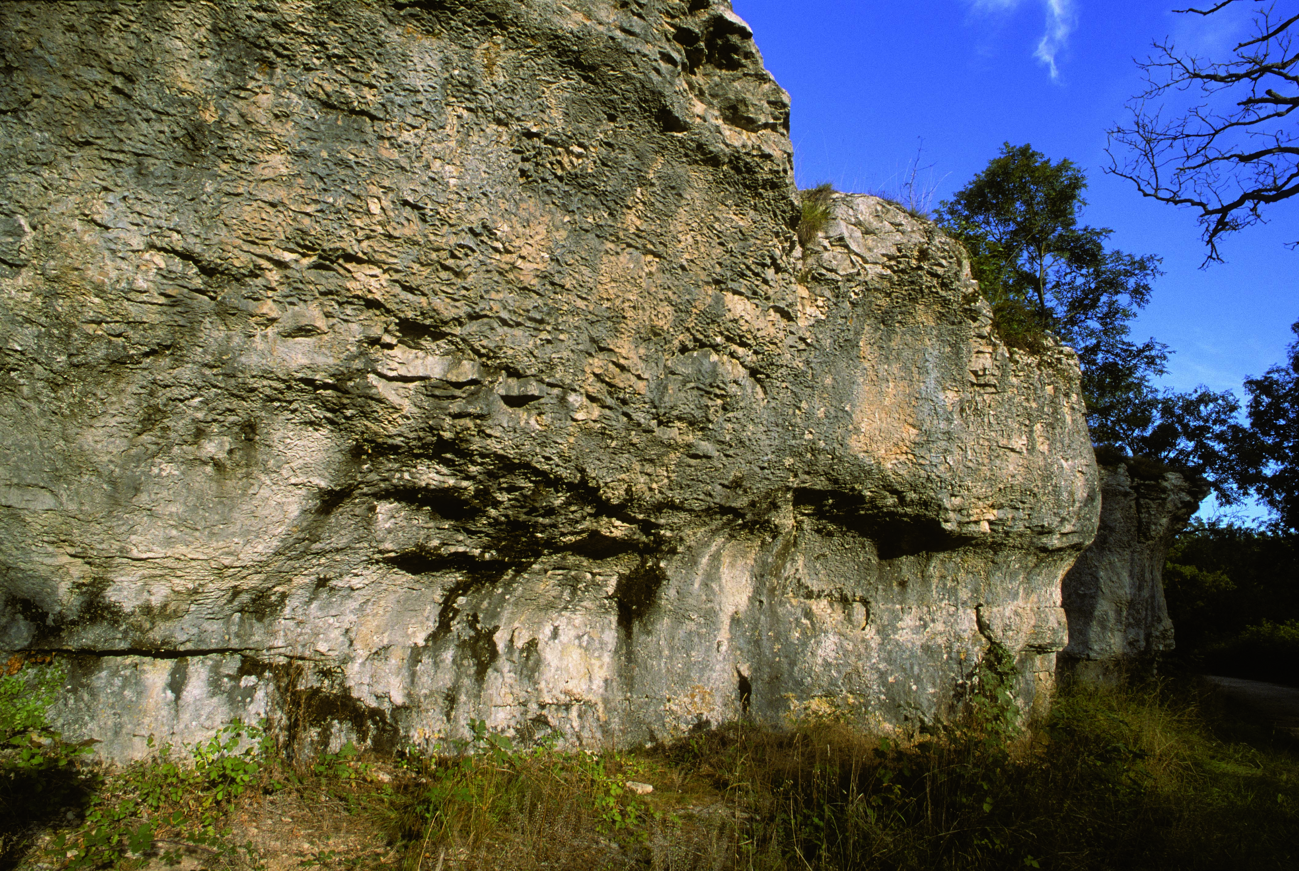 Abri sous roche Roches d orgères - Hipaf & Les Amis du Val de Leuzeu